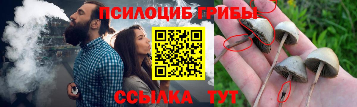 Галлюциногенные грибы Cubensis Кизляр